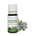 Organic Rosemary Verbenone Essential Oil 100% Pure Undiluted Rosemarinus officinalis Therapeutic Grade Premium Quality Aromatherapy Oil Tested & Verified 10ML Rosemary 0.34 Fl Oz (Pack of 1)