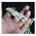 Wixine 1Pcs Fox Feet Articulated Bones Claws Paws Taxidermy