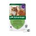 Elanco Advantage spot-on 80 For large cats and ornamental rabbits from 4 to 8 kg effective protection against fleas and flea infestation up to 4 weeks simple spot-on application 4 pipettes with 0.8 ml solution