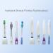Toothbrush Shields - Pack of 10 Breathable & Quick-Drying Toothbrush Head Cover Caps for Travel Home & Office - Buy Online on GoSupps.com