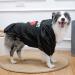 EXPAWLORER Dog Hoodies - Cozy Bitches Love ME Pet Sweatshirt for Small, Medium, Large Dogs - Buy Online on GoSupps.com