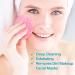 50 Compressed Facial Sponges - Reusable Natural Beauty Makeup Sponges for Daily Skin Care & Makeup Removal | Pink - Buy Online on GoSupps.com