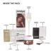 Paradyes Ammonia Free Chocolate Brown Hair Color Kit | Semi-Permanent Creme | Herbal Ingredients | All Hair Types | Unisex | International Shipping - Buy Online on GoSupps.com