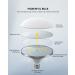 RALENO Softbox Lighting Kit with 50W LED Bulbs for Portrait and Product Photography | 20''X20'' Reflectors for Live Streaming and Advertising - Buy Online on GoSupps.com