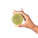 Organic Moringa Soap Bar for Gentle Body Wash | Improve Skin with Moringa Seed Oil | Acne-Fighting Hand Soap for Men & Women | Pack of 5 - Buy Online on GoSupps.com