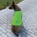 Reflective Dog Warning Vest - Safety Jacket for Dogs | Robust Design & Lined Fabric | Size Options in Neon Yellow - Buy Online on GoSupps.com