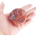 Orientrea Sardonyx Palm Stone - Smooth Healing Crystal Worry Stone - Buy Online on GoSupps.com