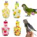 Parrot diaper with fly cute colorful fruit flowers pigeons pets pet nymphensittiche birds ST 4 flight clothes washable for me small o3i9 fruit pattern s