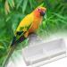 Bird Cage Feeder 3 Pcs Plastic Bird Cage Feeding Bowls Cups Hanging Parrot Water Food Feeder with Compartment and Bird Perch for Small Birds Pigeons Parakeet Canary Sparrow - Buy Online on GoSupps.com