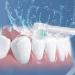 Waterpik Jet Tip Replacement Tips - AquaFlosser 6 Pack - Oral Irrigator Parts - Buy Online on GoSupps.com