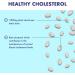 Higher Nature - Red Sterol Complex - Plant Sterols- Red Yeast Rice - Policosanol - for Normal Cholesterol Balance - Vegetarian & Vegan - 90 Tablets 90 count (Pack of 1) - Buy Online on GoSupps.com