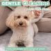 Air Jungles 100 Count Extra Large Pet Grooming Wipes for Dogs and Cats - Plant-Based & Hypoallergenic - Buy Online on GoSupps.com