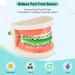 Bite Wafers for Orthodontic Braces - Latex-Free Therapy Relief | Teeth Pain Chewies & Night Guard Alternative - Buy Online on GoSupps.com