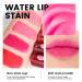 evpct Apple Strawberry Lip Stain Tint Set - Moisturizing Waterproof Long Wear Matte Liquid Lipstick for Lips, Cheeks, and Eyes - Natural Lip Color Makeup - 7.1ml/0.24oz (Pack of 2) - Buy Online on GoSupps.com