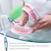 Denture Brush Set | Retainer Cleaner Toothbrush | Portable Double Bristle Head | 4Pcs (Blue Green Purple Orange) - Buy Online on GoSupps.com