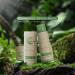 Buy Terra Pafe Comfrey Aromatic Stick Balm - Soothing Relief from Bug Bites (2pcs 0.24oz) - International Shipping Available - Buy Online on GoSupps.com