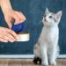 Huayue 6 Pack Pet Can Covers Pet Food Tin Lids Universal Silicone Cat Dog Food Can Lids One Size Fit 3 Standard Size 6 Colors - Buy Online on GoSupps.com