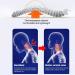 Neck Support Collar Adjustable Neck Support Brace Neck Brace for Neck Relief Neck Wraps Keep Vertebrae Stable and Aligned Relieves Neck Pain and Spine Pressure - Buy Online on GoSupps.com