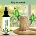 Brazilian Wood Plant Food Lucky Bamboo Liquid Fertilizer Lucky Brazilian Wood Houseplant Fertilizer Brazilian Wood Flowering Special Nutrient Solution (3pcs) - Buy Online on GoSupps.com