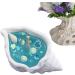 Seashell Scented Candle | Beach-Themed Coastal Aromas | Ocean Breeze Candle | Perfect Home Decor Gift - Buy Online on GoSupps.com