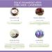 Balade en Provence Organic Solid Shampoo Bar | for Thin Hair | Lavender Scent | 40g - Buy Online on GoSupps.com