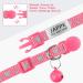 Shop Tagme Cat Neck Band 2-Pack | Reflective Safety Collar with ID Shield & Bell | Adjustable for Cats & Puppies | Pink 18-28 cm - Buy Online on GoSupps.com