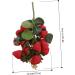 Zerodeko Simulation Blueberry Faux Strawberries Household Decor Fake Fruit Photo Props Decor for Home Faux Strawberry Christmas Decor Strawberry Lantern Foam Red Artificial Model Red 29.00X12.00X5.00CM - Buy Online on GoSupps.com