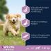 Eukanuba Puppy Food with Lamb & Rice for Large Breeds - 12 kg Dry Food for Junior Dogs | Best for Healthy Growth - Buy Online on GoSupps.com