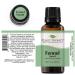 Buy Plant Therapy Sweet Fennel Essential Oil 30 mL - 100% Pure Undiluted Therapeutic Grade - International Shipping Available - Buy Online on GoSupps.com