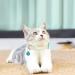 2Pcs Glow in The Dark Cat Collars with Bell | Adjustable (20-30cm) | Metal Buckle | For All Cats & Small Dogs | Floral - Buy Online on GoSupps.com