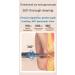Rechargeable Electric Ear Cleaner - USB LED Light Soft Tips Low Noise & Smart Temperature Control - Buy Online on GoSupps.com