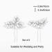 Venusvi Bride Wedding Crystal Hair Pins - Pack of 2, Silver Rhinestone Bridal Hair Accessories for Women and Girls - Buy Online on GoSupps.com