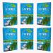 LyvWel Energy Gum | 80mg Caffeine + 50mg Taurine | All Natural & Sugar-Free Pre-Workout Boost | 3 Pack Spearmint | Enhance Your Energy & Focus - Buy Online on GoSupps.com