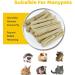 CAMITER 31pcs Natural Apple Wood Chew Toys for Hamster, Rabbit, Guinea Pig - Teeth Care, Molar Toy for Small Pets - Buy Online on GoSupps.com
