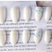 24 Pieces Aurora Fake Nails Set - Long White Butterfly Design - Perfect for Bridal Nail Art & Wedding Tools - Buy Online on GoSupps.com