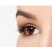 Ardell Fashion Lashes 120 Demi Black - Buy Online on GoSupps.com