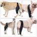 GRIRIW Dog Knee Protectors Dog Supplies Dog Foreleg Brace Dog Foreleg Brace Dog Injured Leg Cover Pet Injury Knee Leg Brace for Dog Step in Dog Harness Dog Knee Cover L As Shown - Buy Online on GoSupps.com
