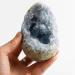Room Decoration 1pc 500g-1300g Natural Blue Celestite Cluster Crystal Geode for Decoration Beautiful Natural Crystal Stone (Color : 940g-1050g) - Buy Online on GoSupps.com