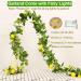 HamiFinee Lemon Garland (Thicker-Lemon) - Buy Online on GoSupps.com