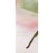 Jurlique Hydrating Mist Rosewater 3.3 oz - Nourishing Facial Spray - Buy Online on GoSupps.com
