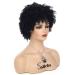 Short Black Kinky Afro Wig for Black Women - Natural Synthetic Curly Wig with Wig Cap - Buy Online on GoSupps.com