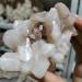 Natural Crystal Rough 70g Natural Zeolite Crystal Raw Crystal Specimen - Buy Online on GoSupps.com