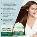 Gommage du cuir chevelu Shampooing Gommage la Romarin Traitement du cuir chevelu nettoyant et nourrissant limine les r sidus et les impuret s 120 g - Buy Online on GoSupps.com