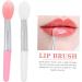 Angoily 2 Sets Lip Stick Dust Facial Tools Lip Applicator Eye Shadow Applicators Silicone Scrubber for Lady Tools Cosmetic Applicator Brush Miss Silica Gel - Buy Online on GoSupps.com