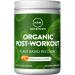 MRM Organic Post Workout  Plant Based Recovery  10.6 Ounce Ginger 10.6 Ounce (Pack of 1)
