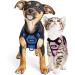 Shop Breakproof Cat Dishes & Adjustable Leash Set - Soft Reflective Kitten Vest for Small Cats (Pink XS) - International Shipping Available - Buy Online on GoSupps.com