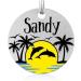 Personalized Stainless Steel Dog Tags with Engraving - Custom Animal Name Tags for Dogs & Cats - Unique Colored Dolphin Design - Buy Online on GoSupps.com
