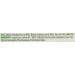 Nuage Homeopathic Bioplasma Tablets - Natural 12 Biochemic Remedies - 125 Count - Buy Online on GoSupps.com
