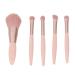 Travel Makeup Brushes Set - 5Pcs Professional Portable Cosmetic Brushes with Mirror for Beginners & Professionals - Buy Online on GoSupps.com