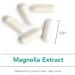 Nutricology Magnolia Extract - 120 Vegetarian Capsules | Stress & Sleep Support | Cortisol Balance - Buy Online on GoSupps.com